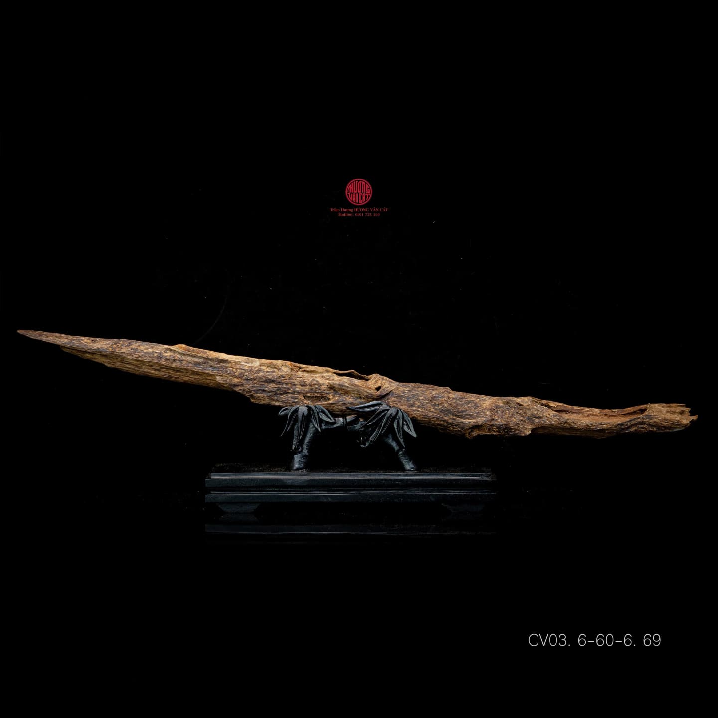 Trầm Cảnh Hiếm Có